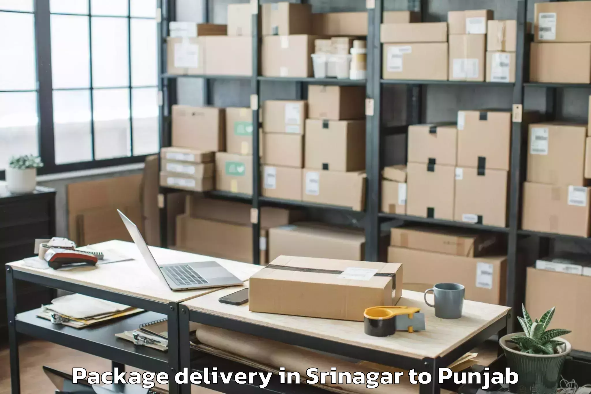 Trusted Srinagar to Ropar Package Delivery